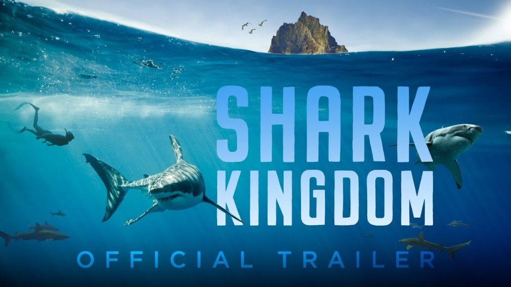 바위섬을 배경으로 물속을 헤엄치는 두 마리의 상어와 '샤크 킹덤' 과 '오피셜 트레일러' 가 텍스트로 표시됩니다.