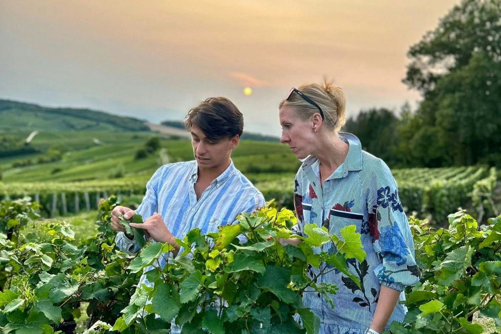 포도원에서 잠시 쉬기