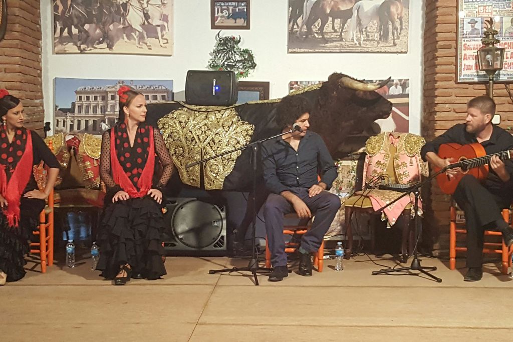 플라멩코 페인팅