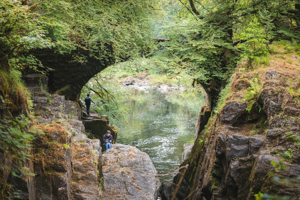 허미타지 포레스트