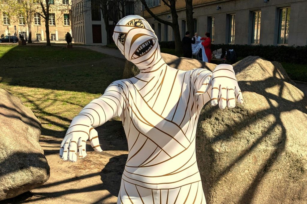 잘못된 경로에 있는 미라