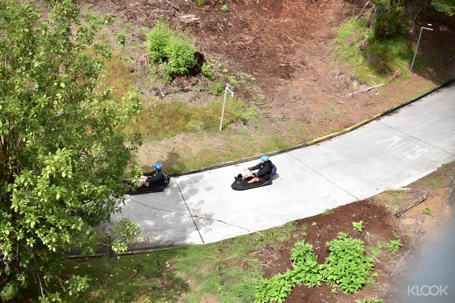 경치 좋은 트랙과 고급 트랙을 포함한 다양한 루지 트랙에서 선택할 수 있는 기회는 큰 기쁨입니다.