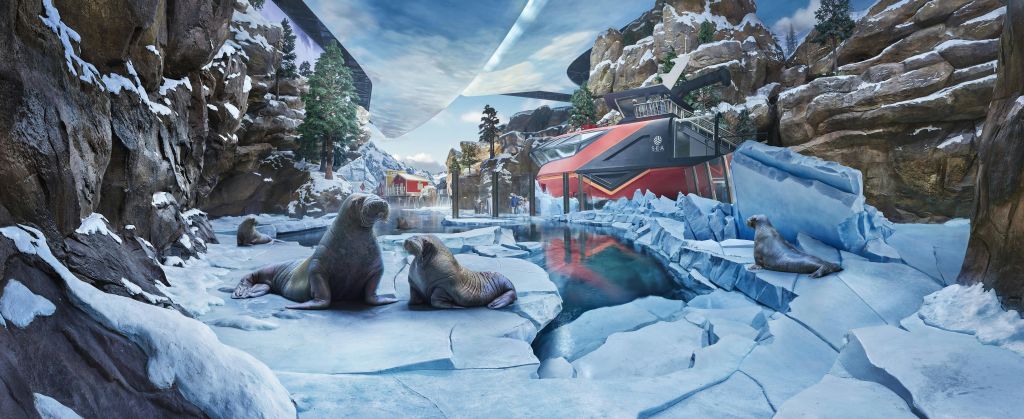 눈 덮인 바위와 구조물을 배경으로 차가운 반사 수영장 옆의 얼음 지형에 두 개의 바다표범이 서 있습니다.