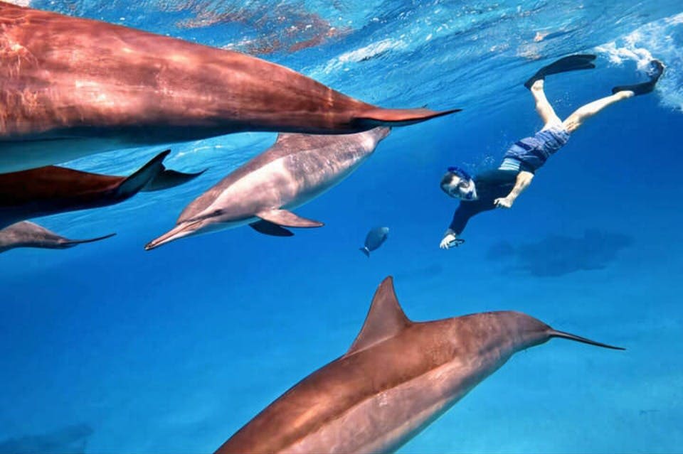 마르사알람에서 가봐야 할 곳