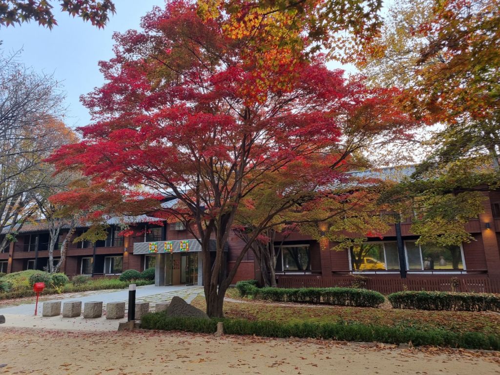 남이섬 호텔 정관루