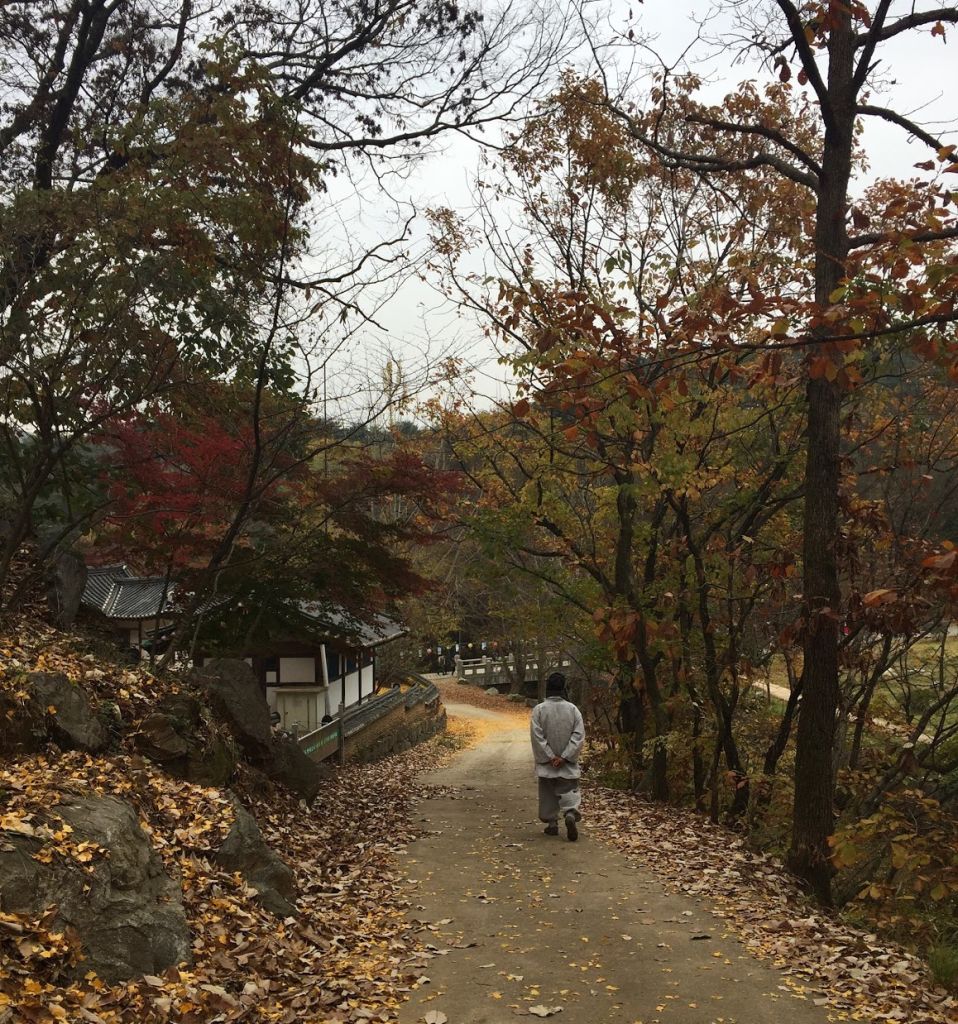 마곡사의 가을. 스님을 몰래 따라가 봅니다