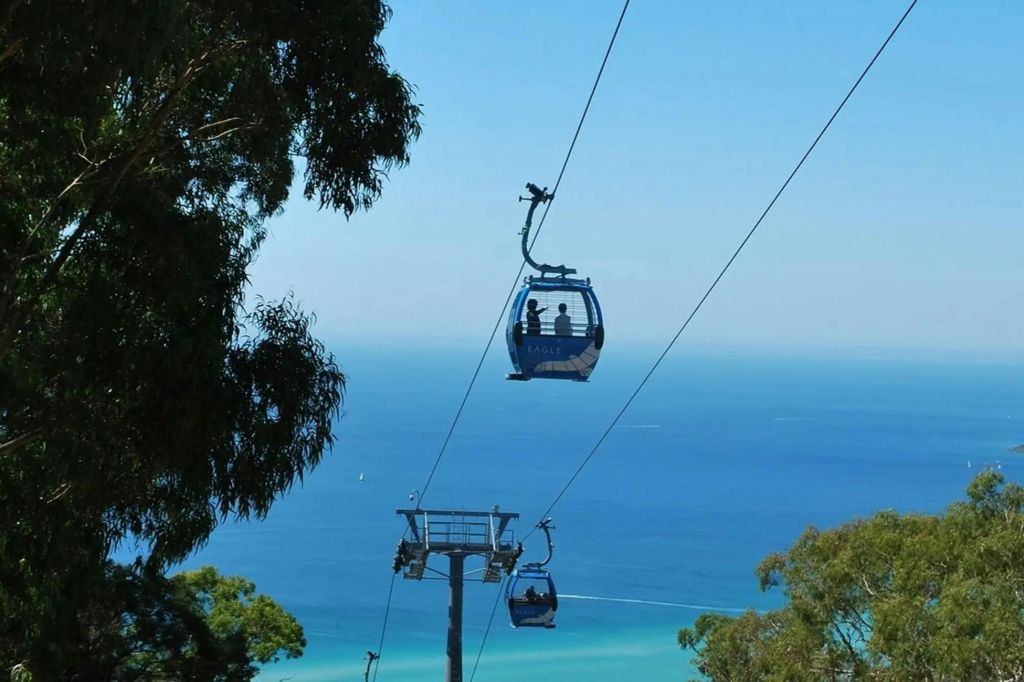 전경의 나뭇가지로 둘러싸인 푸른 바다 위에 승객이 매달려 있는 케이블카.