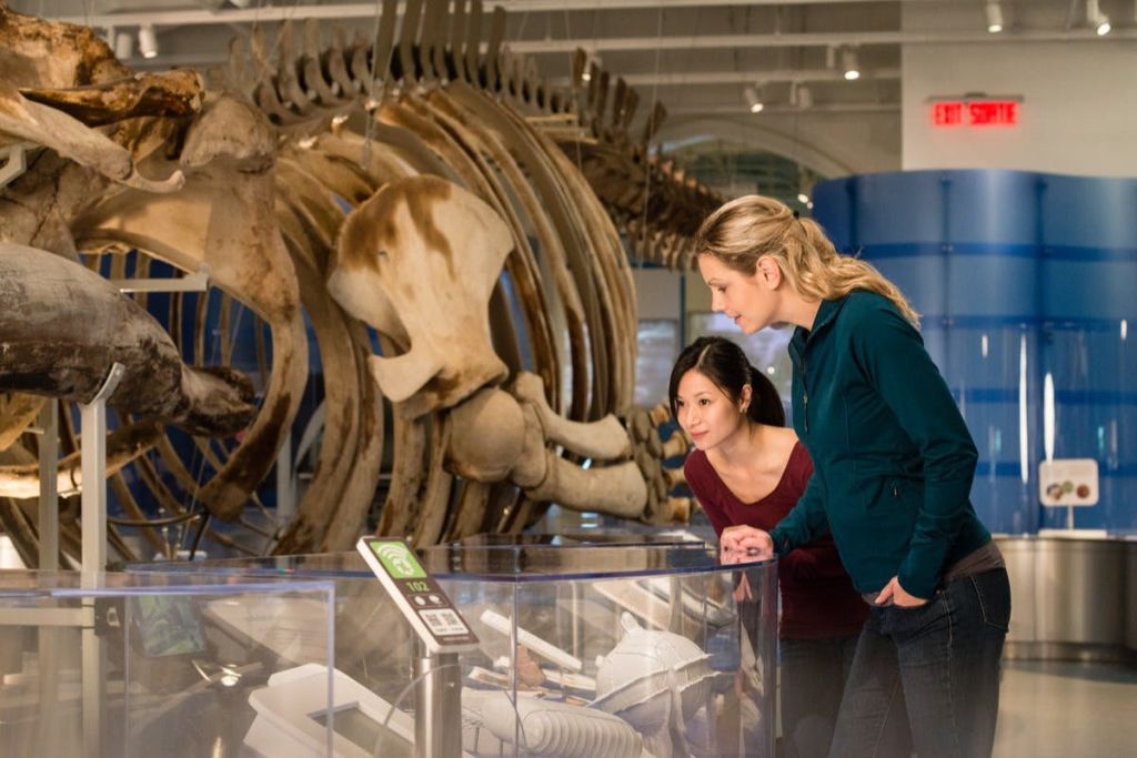 캐나다 자연 박물관