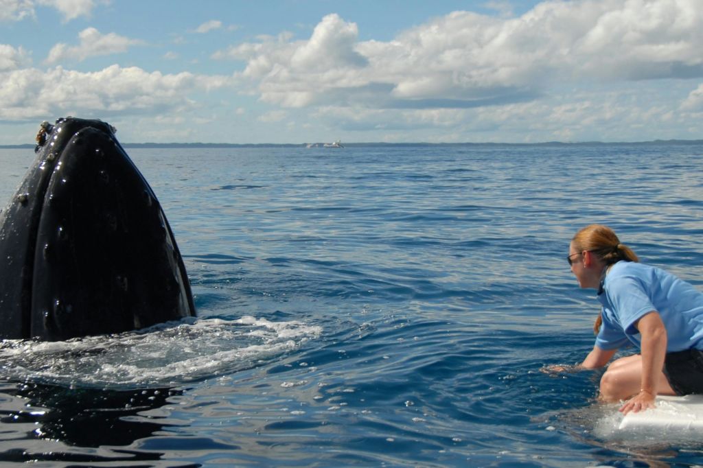 푸른 셔츠를 입은 사람이 보트에서 무릎을 꿇고 흐린 하늘 아래 잔잔한 바다를 향해 손을 뻗고 있습니다.