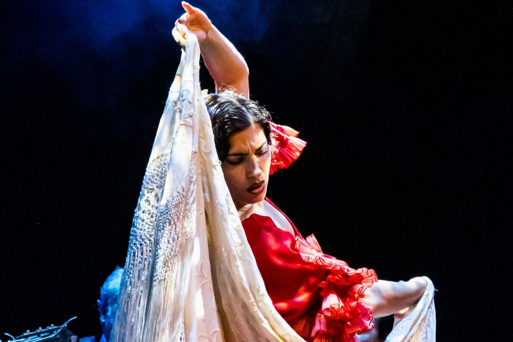 플라멩코 댄서와 숄