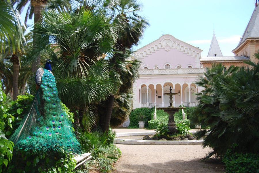 콜로니얼 외관 팰리스 파크 사마 캠브릴스. 피콕