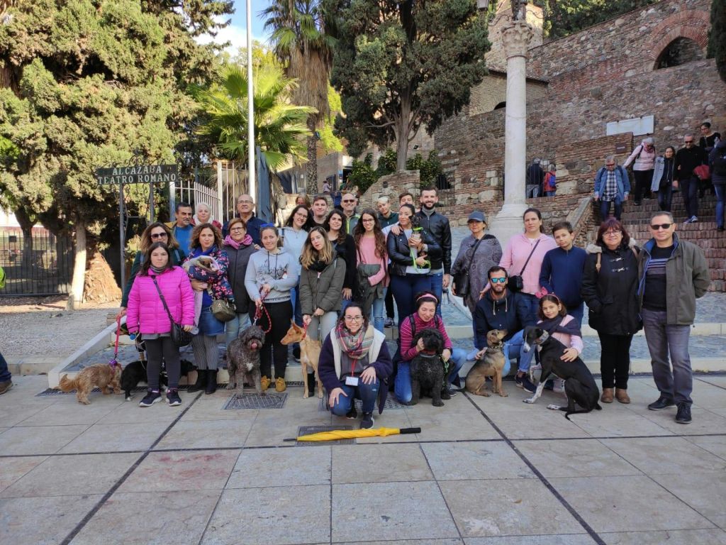 한 무리의 사람들과 여러 마리의 개가 유서 깊은 돌담 앞에서 포즈를 취하고 야외에서 발걸음을 내딛고 있습니다.