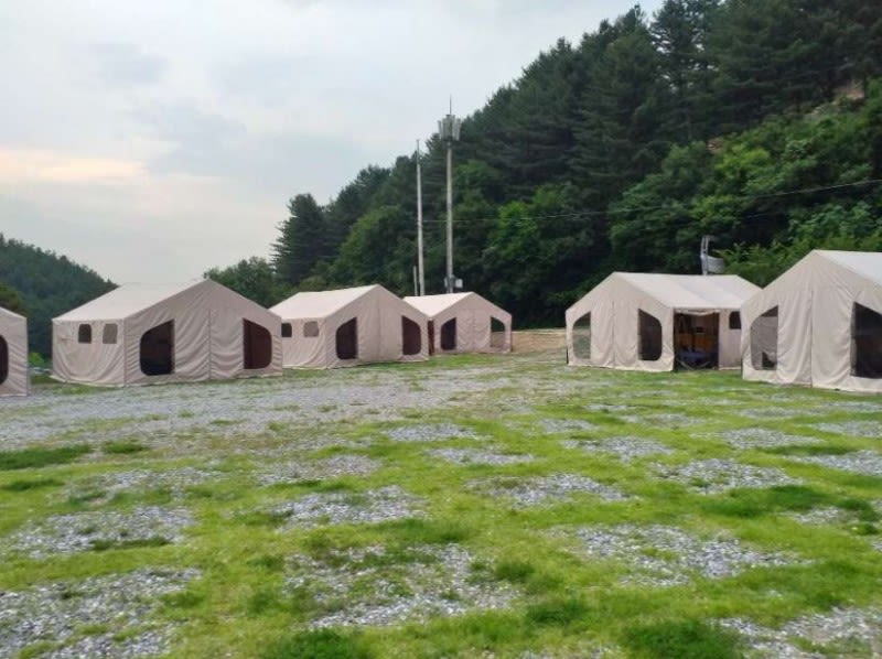 가평 링크독애견캠핑장