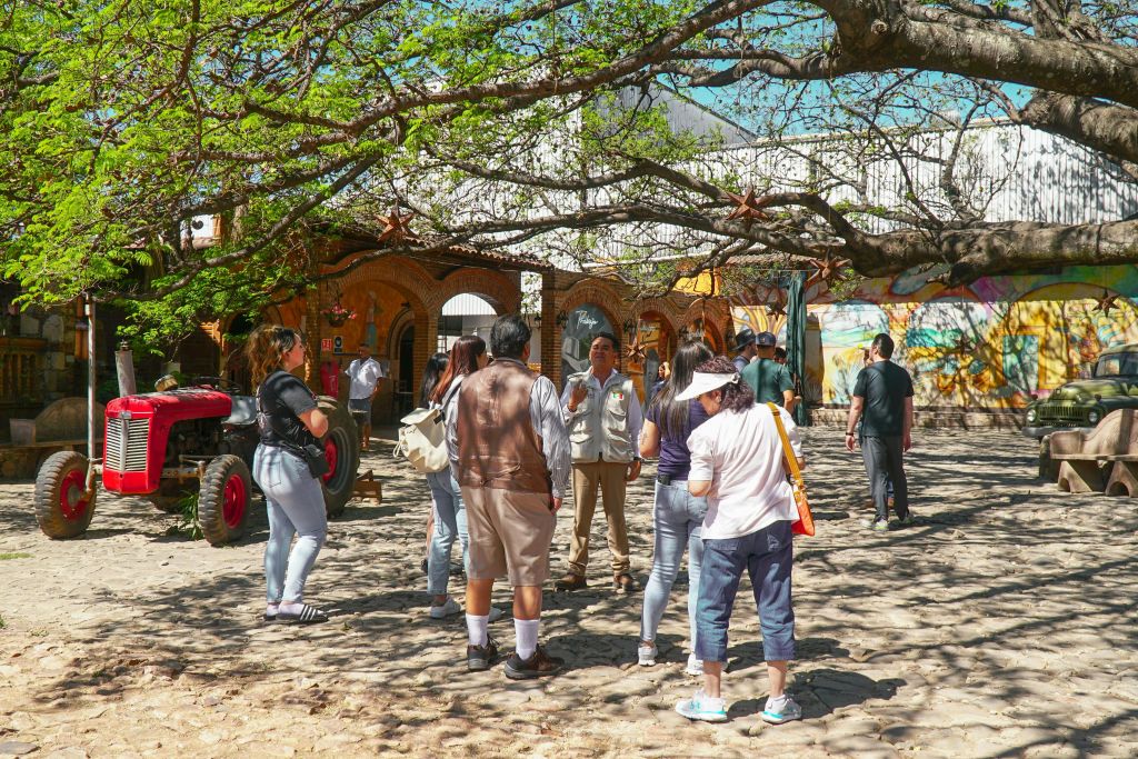 호세쿠에르보 테킬라 증류소 투어