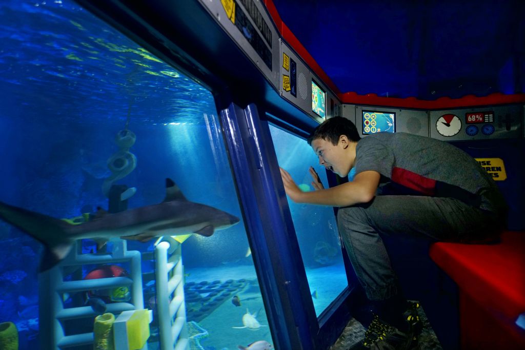 한 어린이가 커다란 수족관 창문을 통해 자세히 들여다보며 생생하게 빛나는 수중 장면에서 상어와 다른 바다 생물을 관찰합니다.