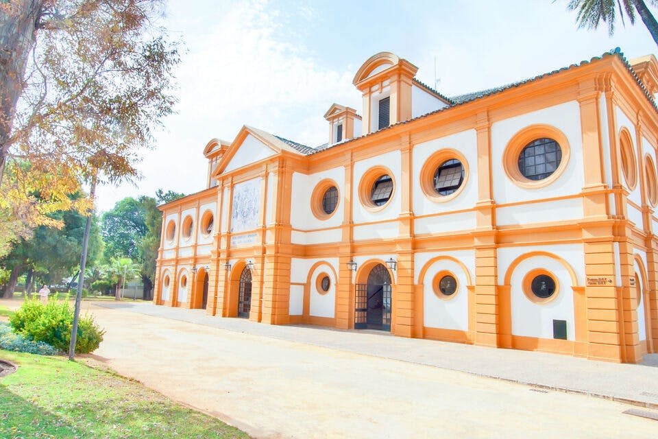 Como bailan los caballos andaluces