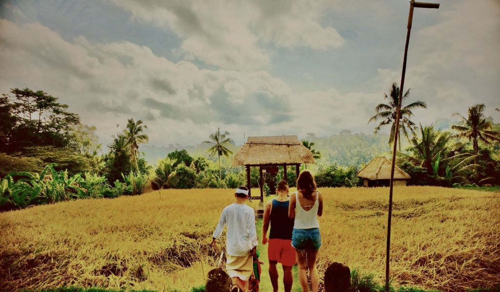 황금빛 논밭을 지나 흐린 하늘 아래 열대 나무로 둘러싸인 초막을 향해 세 사람이 걸어가고 있습니다.