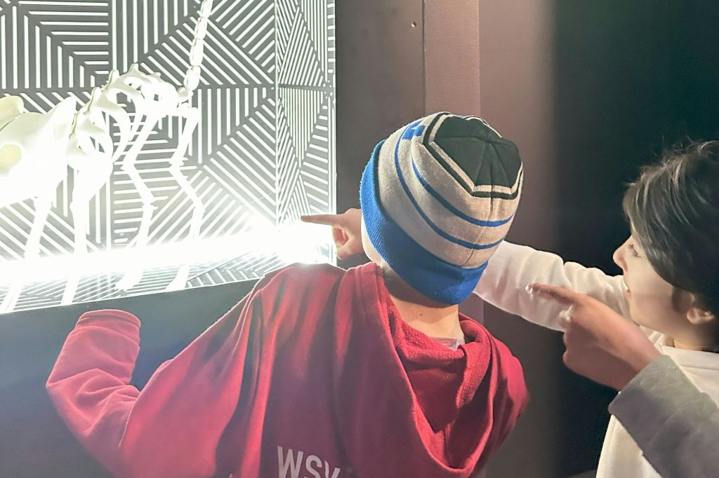 슈뢰딩거의 카처