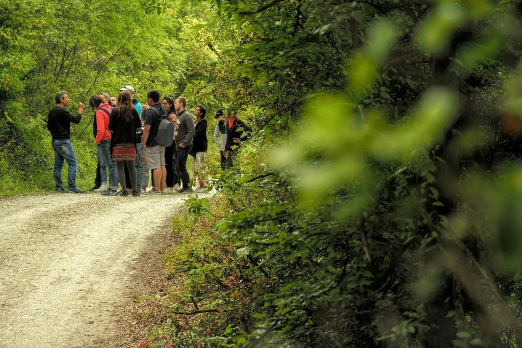 메테오라 일몰 투어