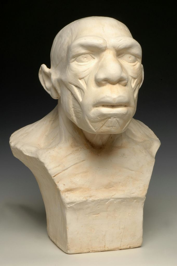 어두운 배경을 배경으로 눈에 띄는 얼굴 특징을 가진 초기 인간의 하얀 조각 흉상.