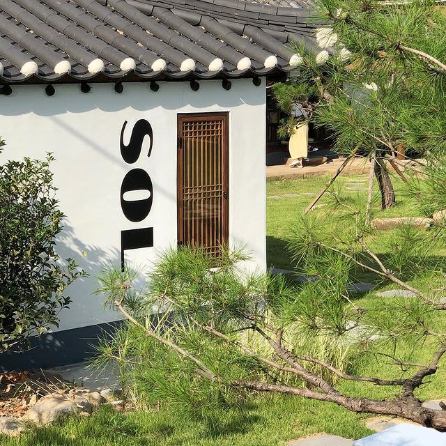 카페 솔