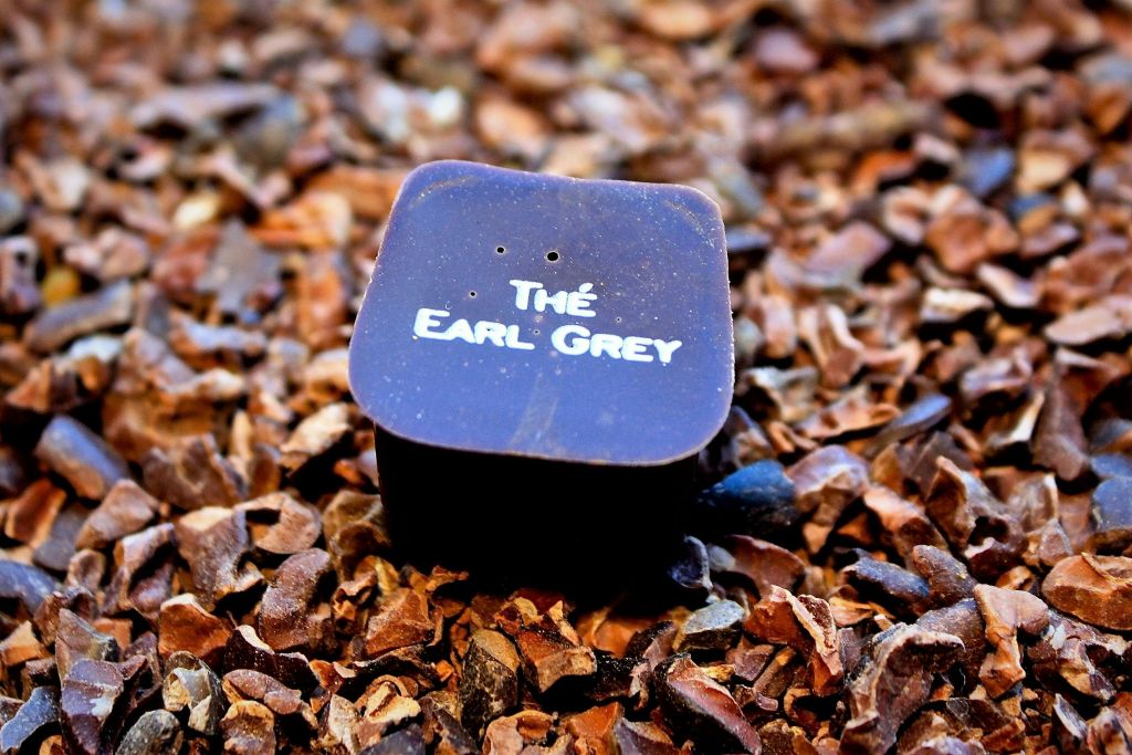 맛볼 수 있는 음식 중 하나