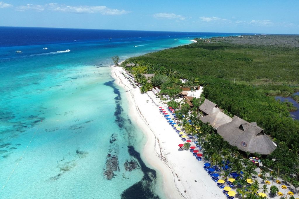 푸른 단풍과 인접한, 다채로운 비치 파라솔과 의자가 늘어선 투명한 청록색 바다가 있는 해변의 공중 전망.