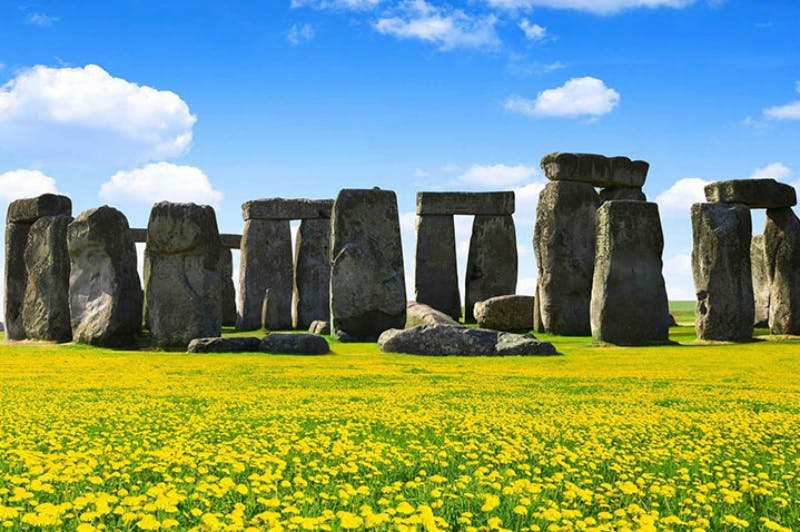 부분적으로 흐린 하늘 아래 노란 꽃이 피는 들판에 세워진, 커다란 스탠딩 스톤을 배경으로 한 스톤헨지 기념비.