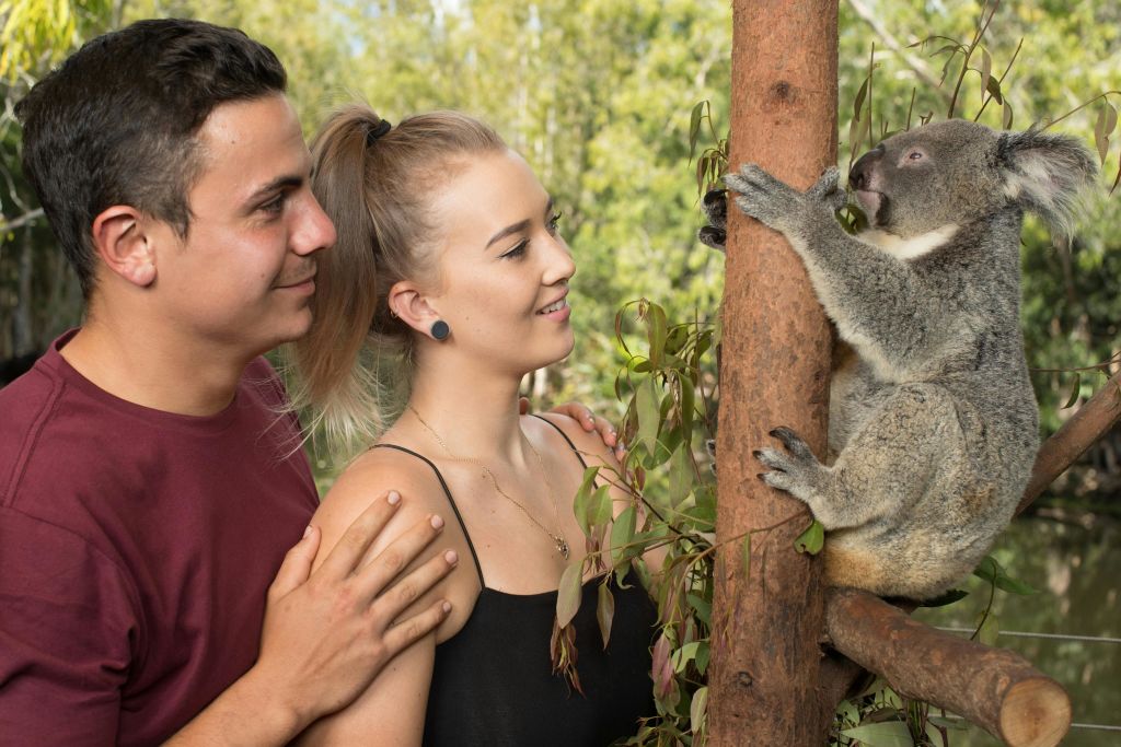 야외에서 함께 웃고 있는 남녀로, 근처에 단풍과 나무줄기가 있습니다.