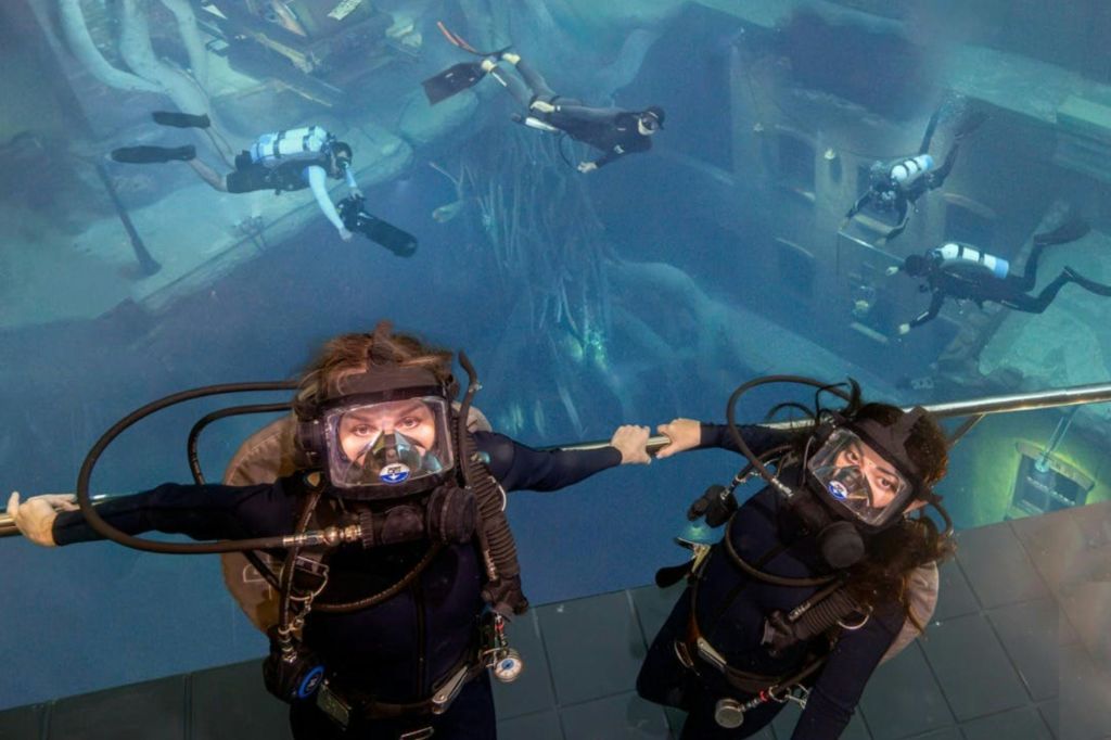 스쿠버 장비를 착용한 다이버는 커다란 수족관 탱크에 있으며, 다이버 한 명은 유리에 가까이 있고 다른 한 명은 배경에 있습니다.