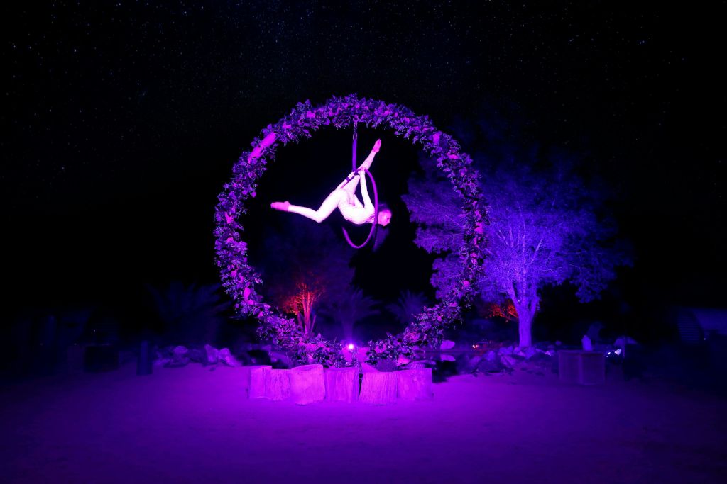 보라색 조명과 별이 빛나는 밤하늘을 배경으로 단풍으로 장식된 링에 매달린 공중 공연자.