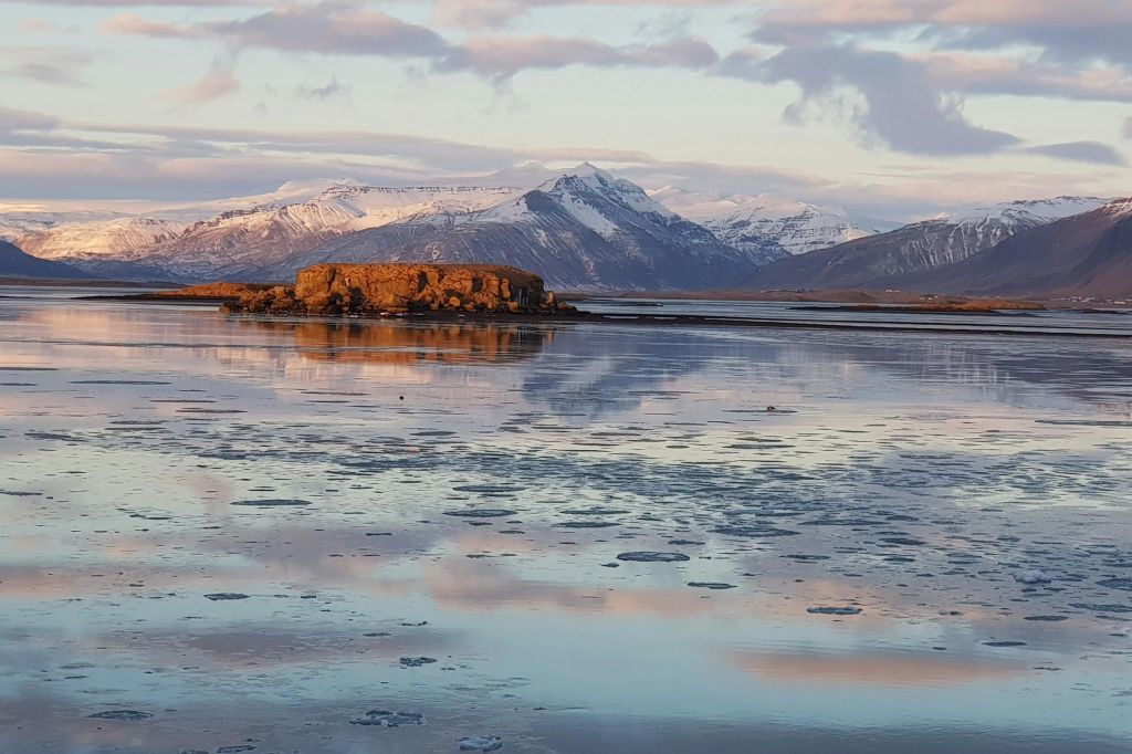 호기심 많은 바다표범들이 우리를 지켜보고 있습니다.