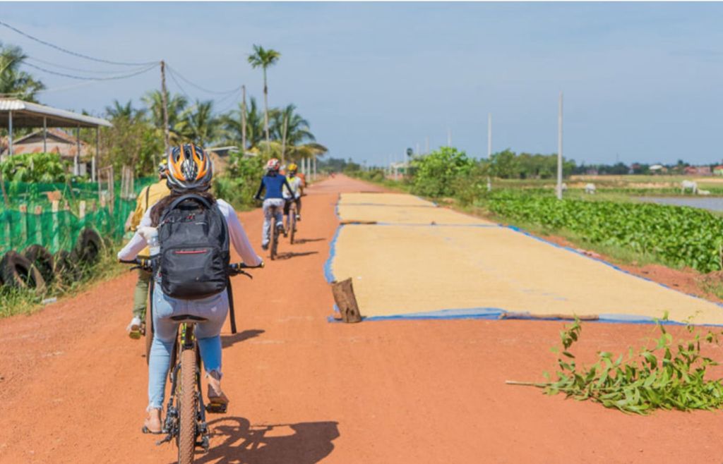 맑고 푸른 하늘 아래 건조한 곡물, 녹지, 야자수가 늘어선 붉은 흙길에서 자전거를 타는 사람들.