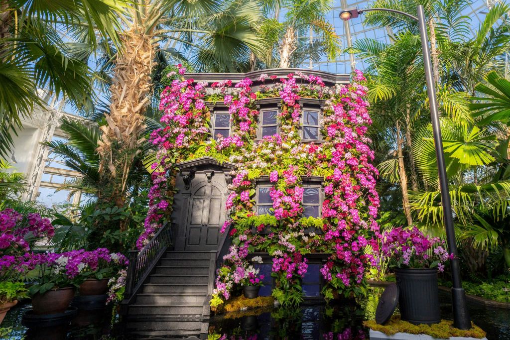 온실의 울창한 열대 식물과 나무로 둘러싸인 활기찬 분홍색과 보라색 꽃으로 덮인 주택 정면입니다.