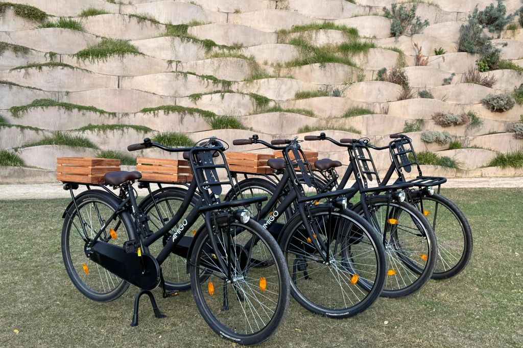 믿을 수 없을 정도로 편안한 직립 라이딩 자세와 시대를 초월한 진정한 네덜란드 클래식 스타일을 즐겨보세요. 지금 바로 렌트하세요!