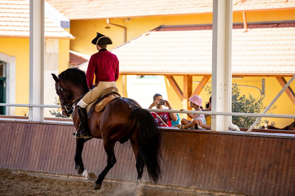 신트라 공원 - 몬테스다루아