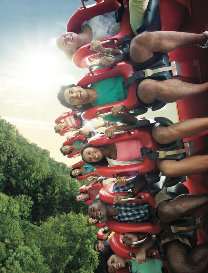 빨간 롤러코스터를 타고 웃으며 환호하는 사람들, 푸른 나무를 배경으로 밝은 햇살이 내리쬐는 곳.