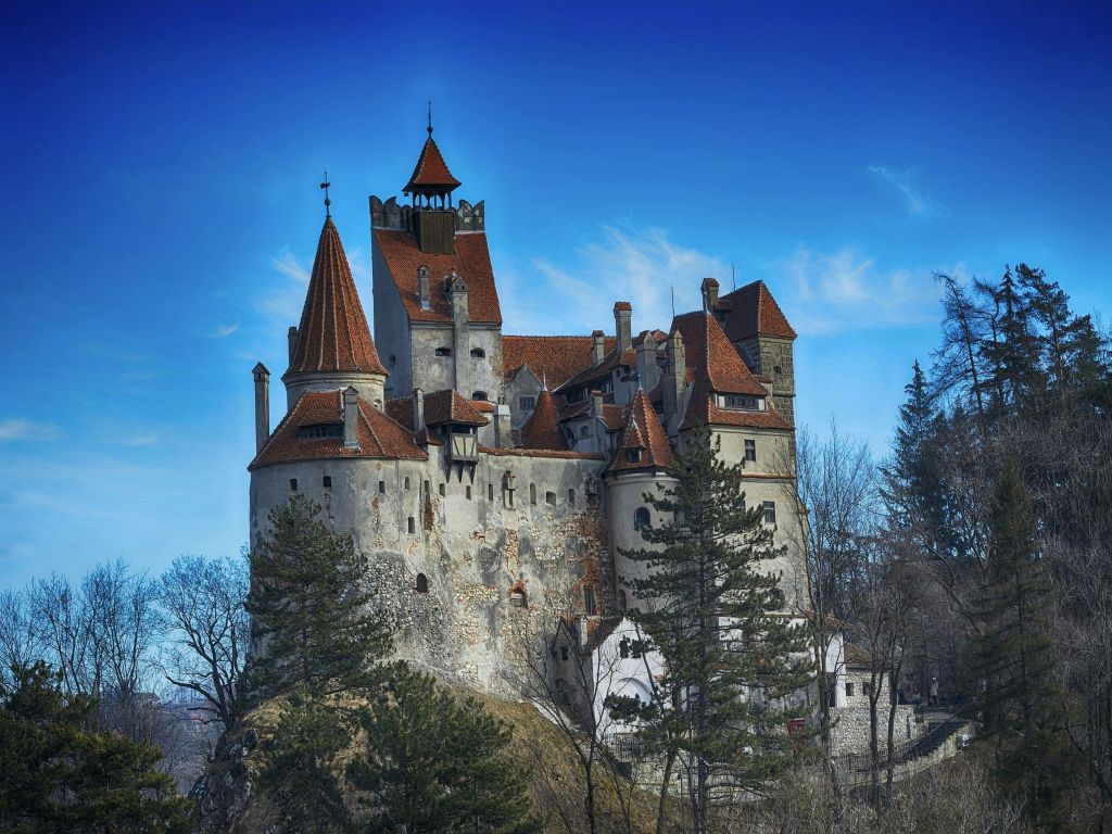 맑고 푸른 하늘을 배경으로 나무로 둘러싸인 붉은 기와 지붕과 탑이 있는 유서 깊은 성입니다.