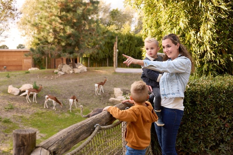 ZooParc