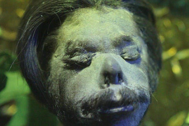 리플리의 믿거나 말거나! 올랜도