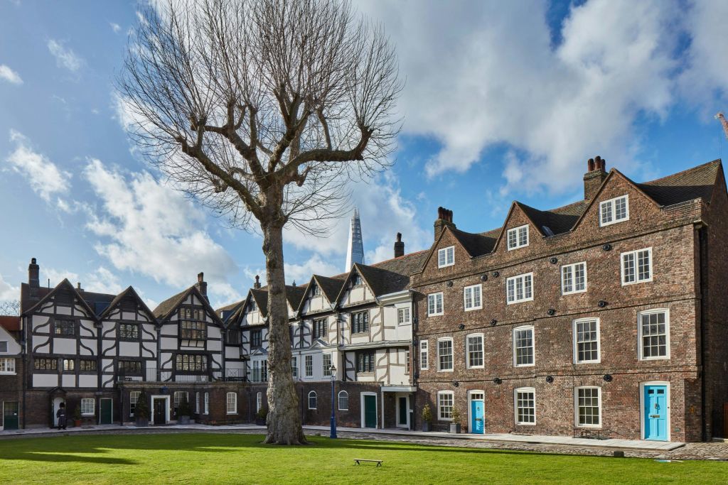 유서 깊은 건물로 둘러싸인 커다란 나뭇잎이 없는 마당에 샤드가 배경으로 보입니다.