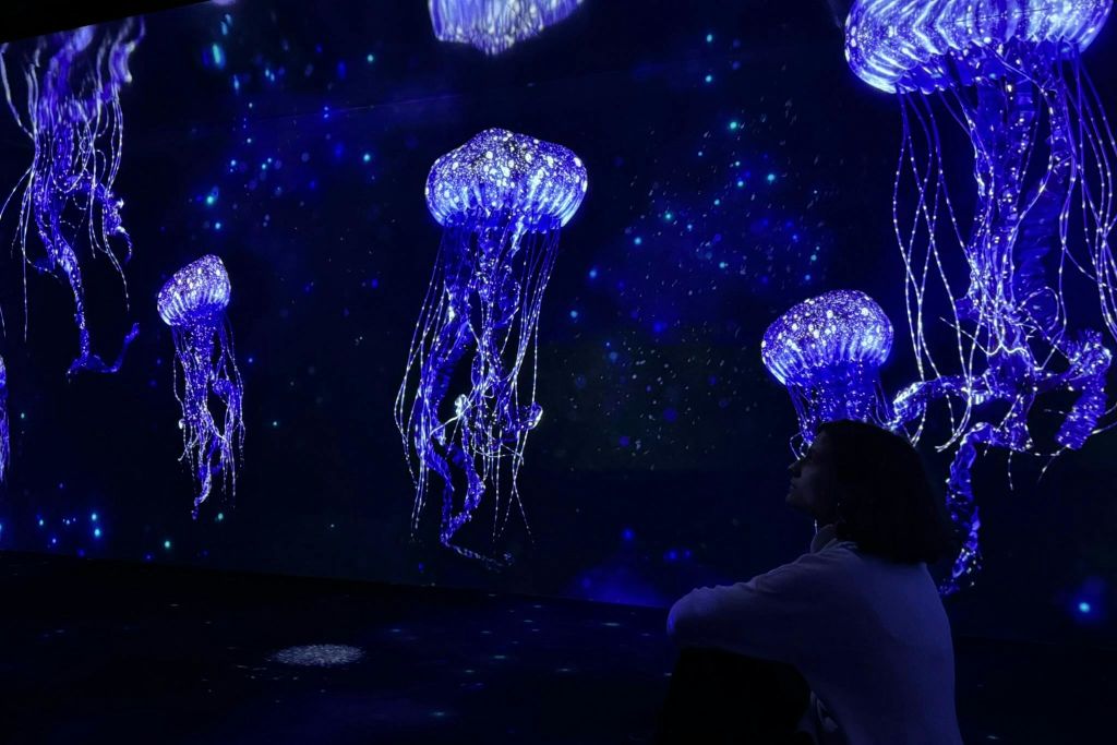 새로운 전시 - 물에 잠긴 우주