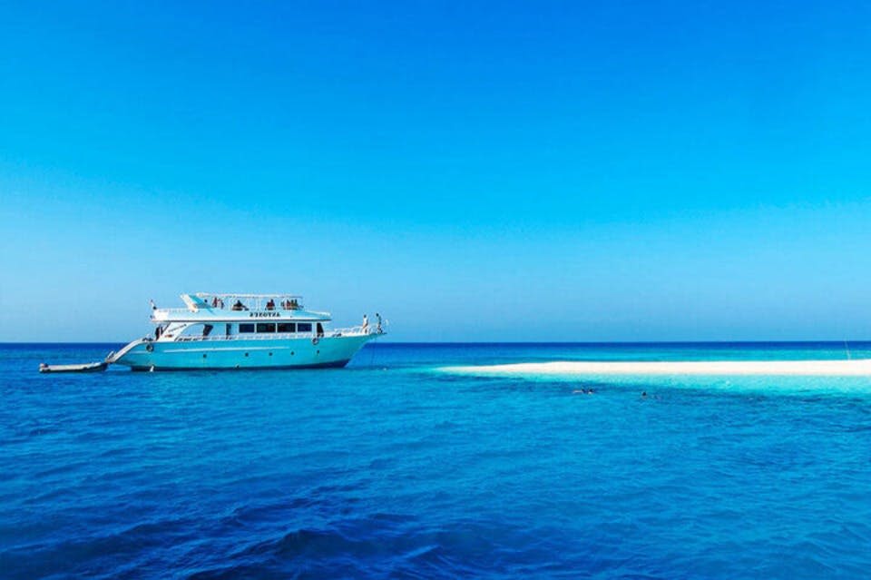 샤브-마르살람-돌고래 하우스-나이트-드림-보트