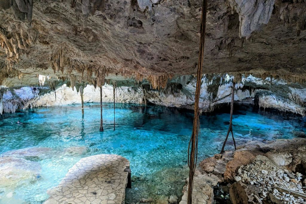 세노테의 또 다른 매력을 발견하는 시간