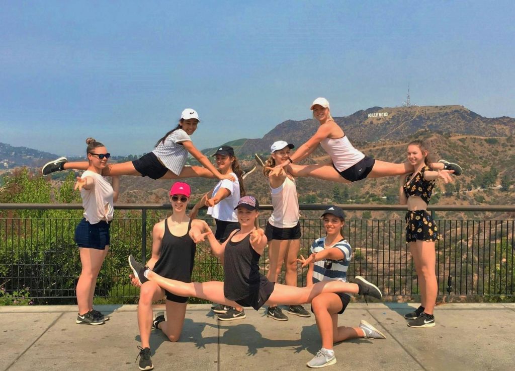 할리우드 간판을 배경으로 울타리 근처에서 활기차게 포즈를 취하는 9명의 그룹. 두 개는 공중에서 갈라져 있습니다.