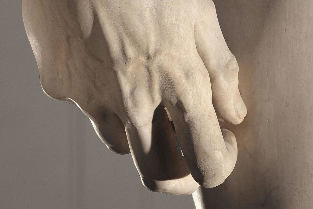 데이비드의 손 세부 정보