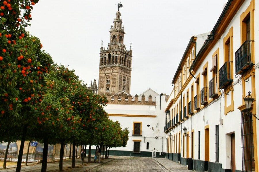 지평선에 히랄다 호가 있는 로스나란호스 파티오.