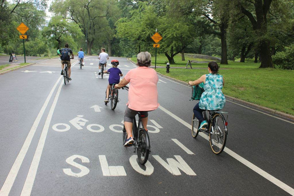 커다란 나무와 녹음이 우거진 공원의 포장된 통로에서 자전거를 타는 사람들이 있습니다. 길에는 "느린" 그림이 그려져 있습니다.