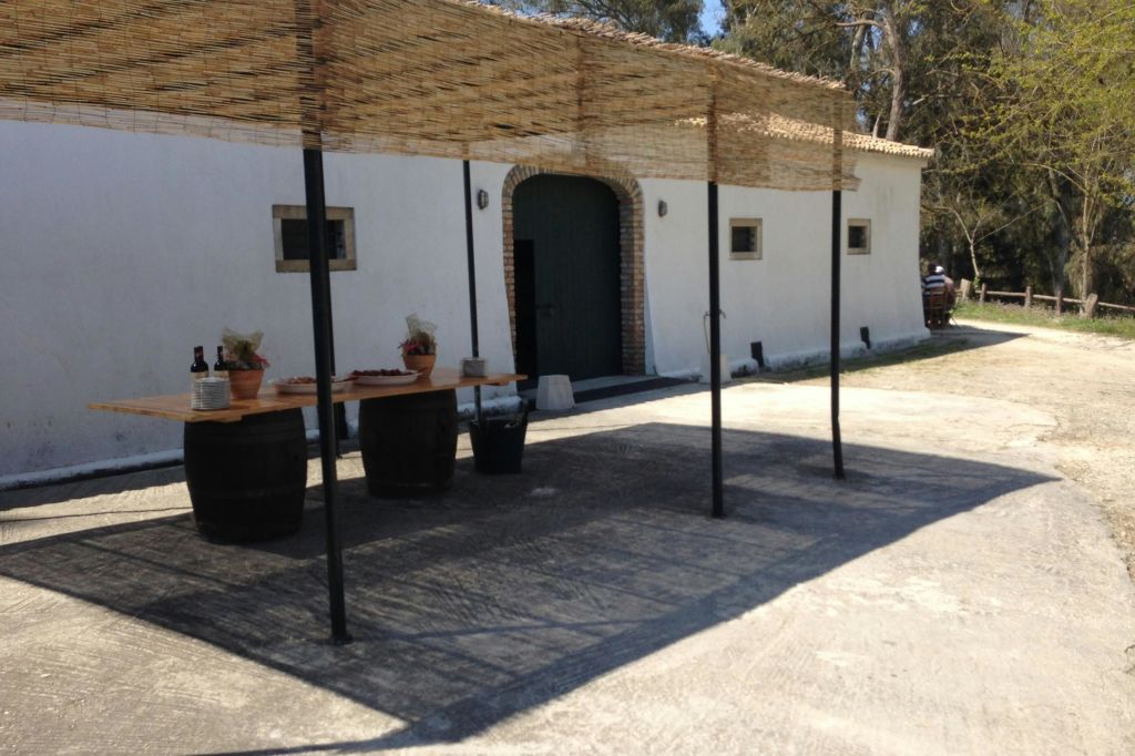 녹색 문과 작은 창문이 있는 흰색 건물, 통, 테이블, 음식이 있는 그늘진 야외 공간.