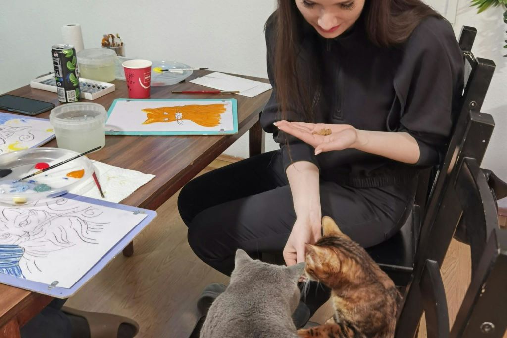 공급업체는 참가자에게 무료 고양이 간식을 제공합니다.